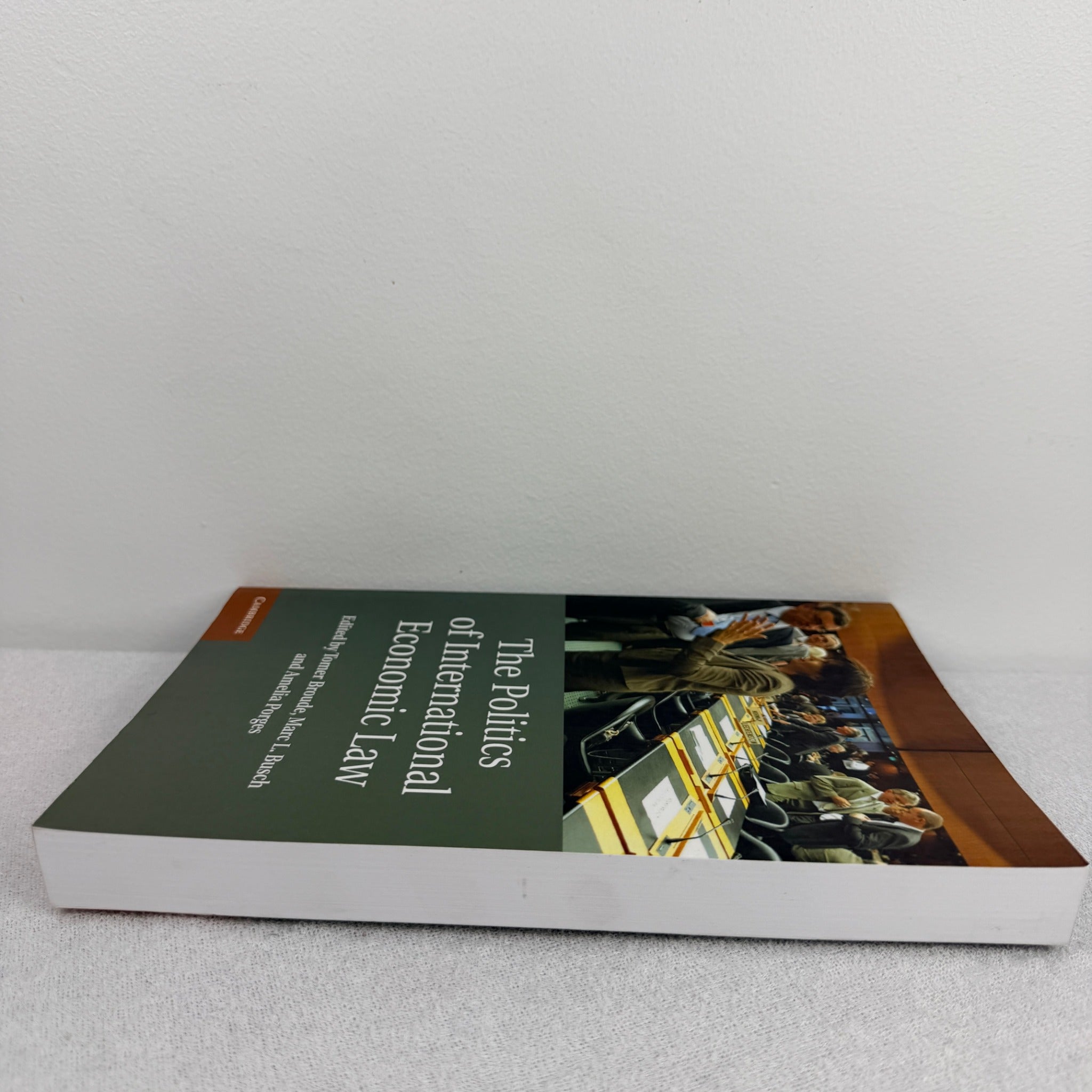 Cambridge University Press The Politics of International Economic Law - Essential Academic Resource - Image 2