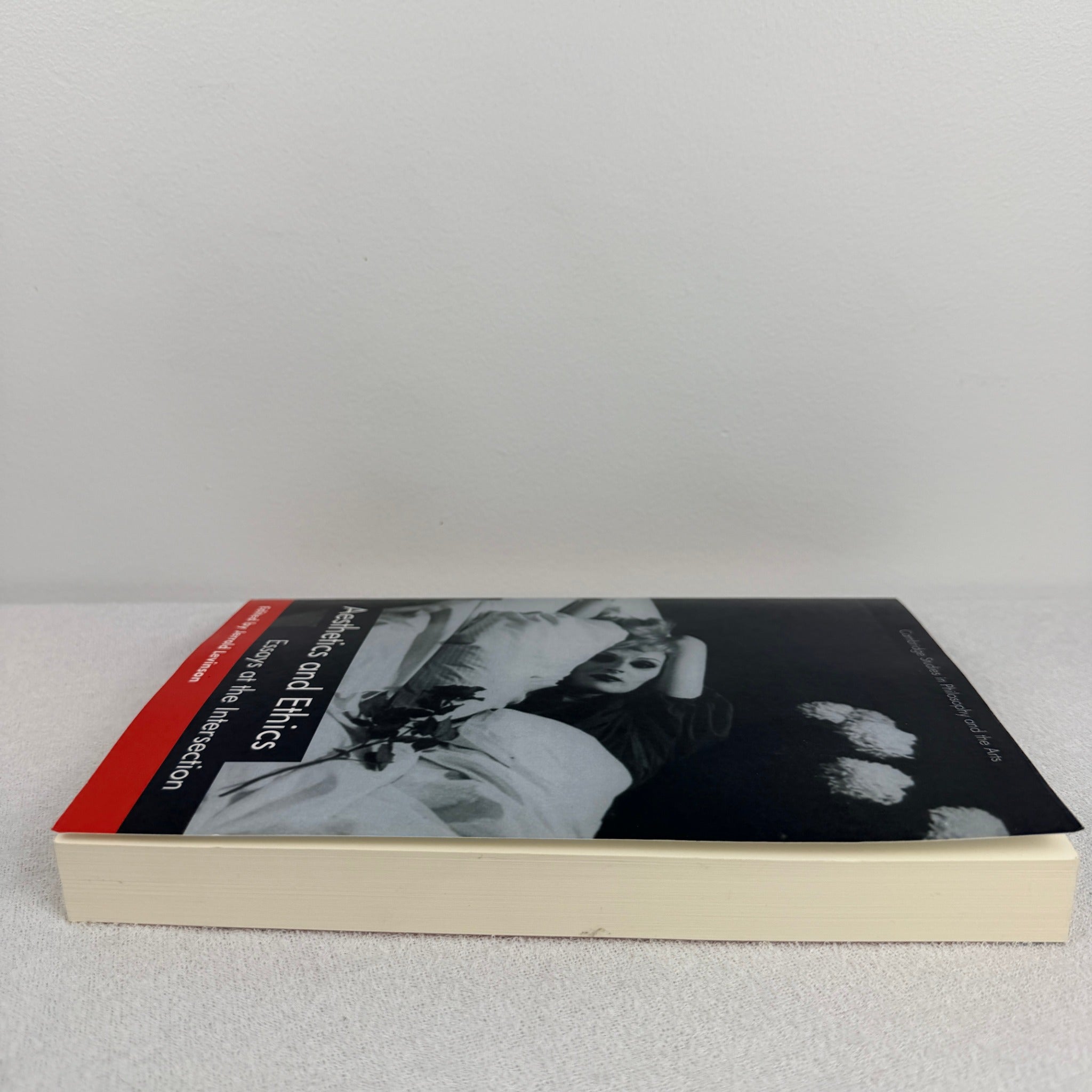 Aesthetics and Ethics: Essays at the Intersection (Cambridge University Press) - Image 2